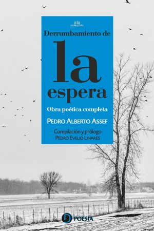 Cubierta del libro "Derrumbamiento de la espera" (Ediciones Deslinde, Madrid, 2023), del poeta Pedro Alberto Assef.