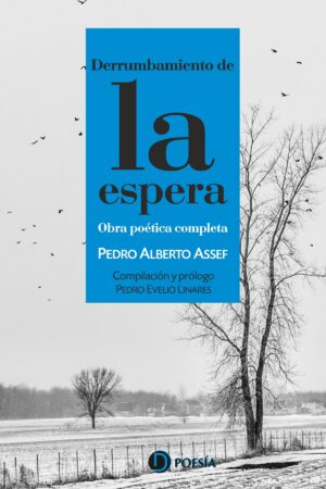 <i>Derrumbamiento de la espera</i> | Antología poética | Pedro Alberto Assef