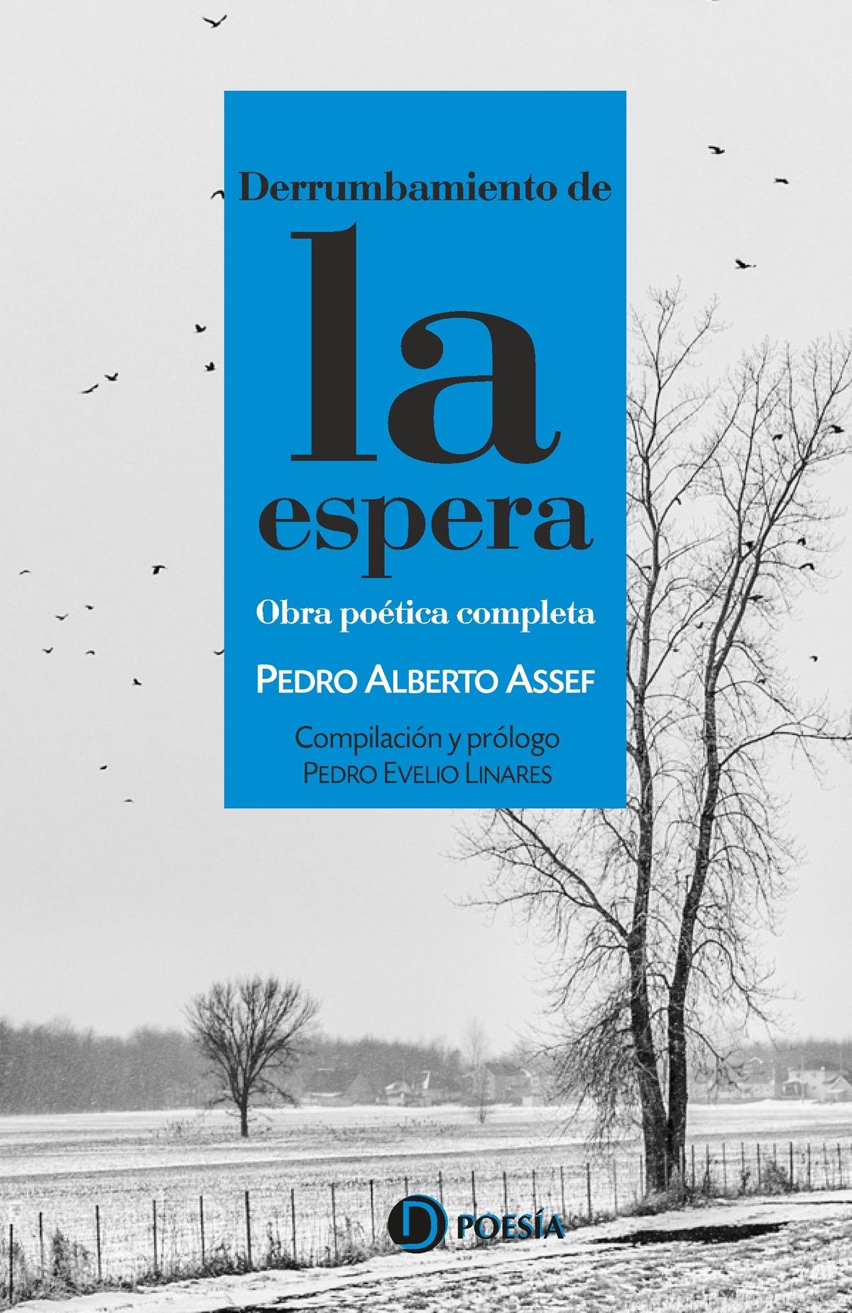 <i>Derrumbamiento de la espera</i> | Antología poética | Pedro Alberto Assef