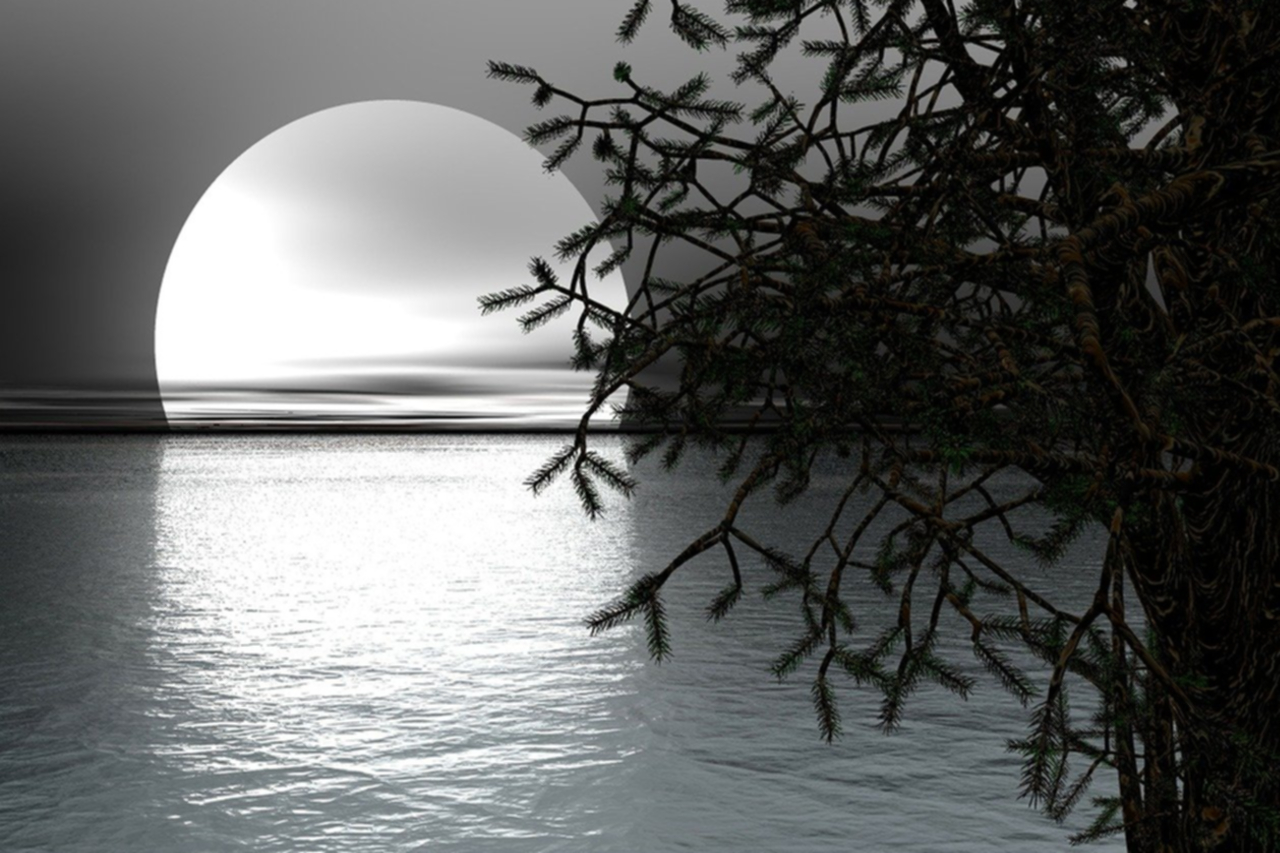 Imagen de noche con luna llena para el poema "Se va el verano", del la escritora Isabel Díez Serrano, de su libro "En la raíz de un sueño".